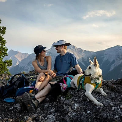 Two people sitting on a mountain with a dog
